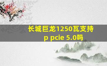 长城巨龙1250瓦支持p pcie 5.0吗